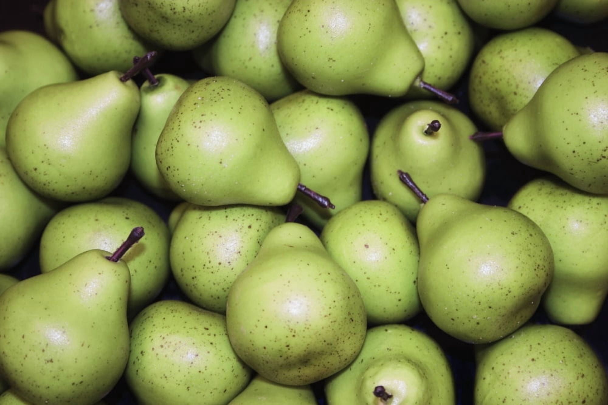 Pears Background Canvas Art - Daniel Sicolo Design Pics (34 x 22)