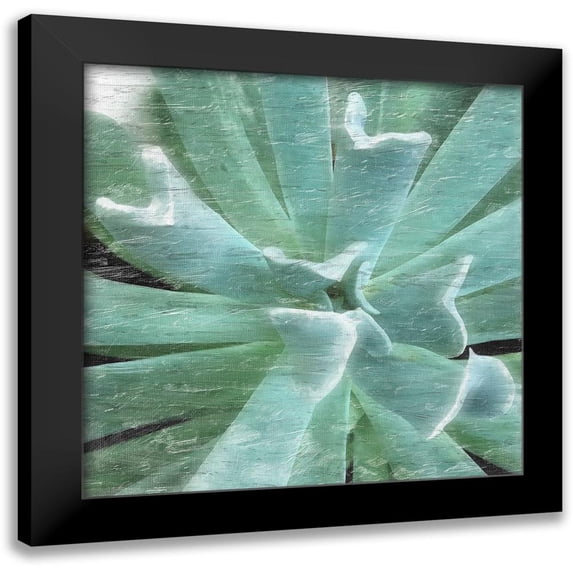 Pearson, Debbie 12x12 Black Modern Framed Museum Art Print Titled - Succulent Memory 2