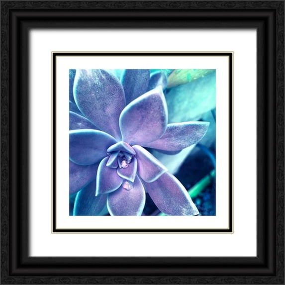 Pearson, Debbie 12x12 Black Ornate Wood Framed with Double Matting Museum Art Print Titled - Succulent Dawn 2