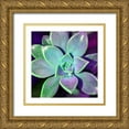 thumbnail image 1 of Pearson, Debbie 26x26 Gold Ornate Wood Framed with Double Matting Museum Art Print Titled - Succulent Dawn 3, 1 of 4