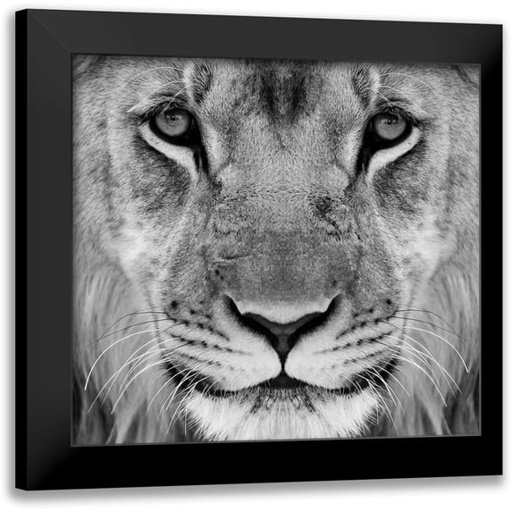 Pearson, Wayne 13x12 Black Modern Framed Museum Art Print Titled - My-What Big Thighs You Have !