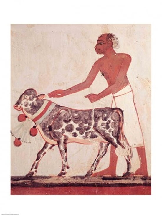 Peasant leading a cow to sacrifice Canvas Art - (24 x 36)
