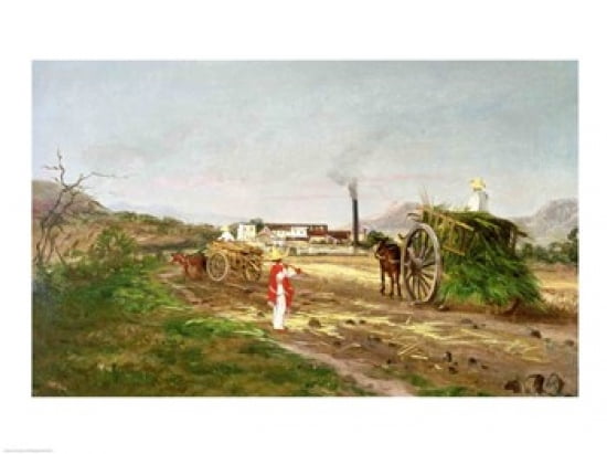 Peasants Collecting Sugar Cane Canvas Art - (24 x 18)