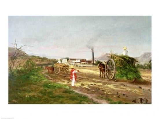 Peasants Collecting Sugar Cane Canvas Art -  (36 x 24)