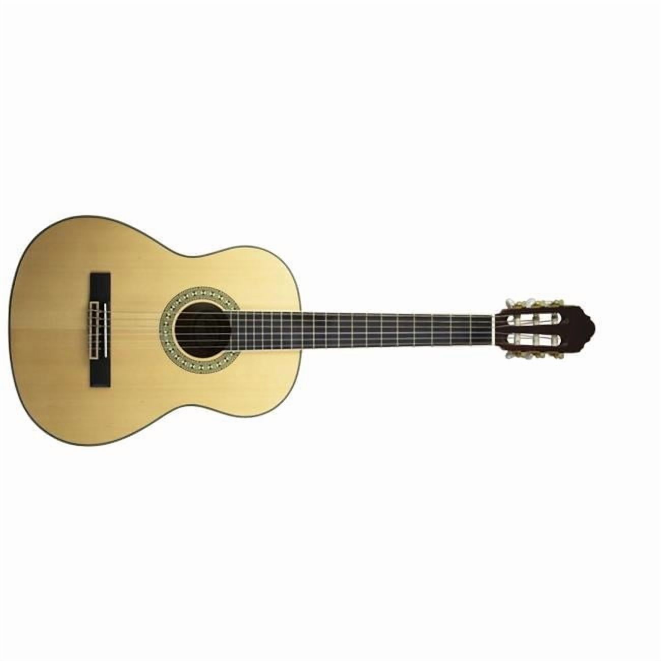 Peavey Delta Woods CNS 3/4 Classical Nylon String Guitar