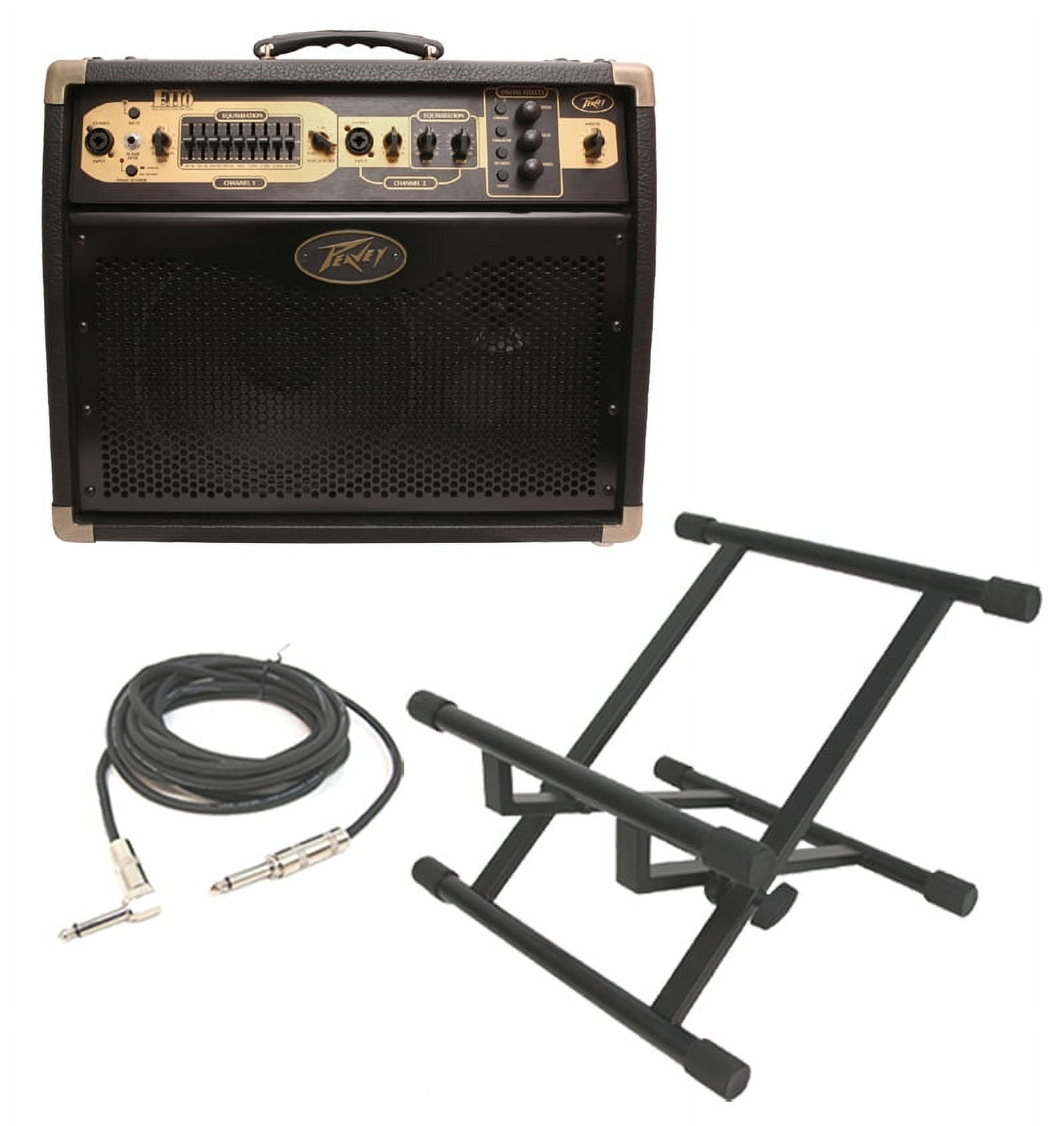 Peavey Ecoustic E110 Acoustic Guitar Combo 100W Amp 10