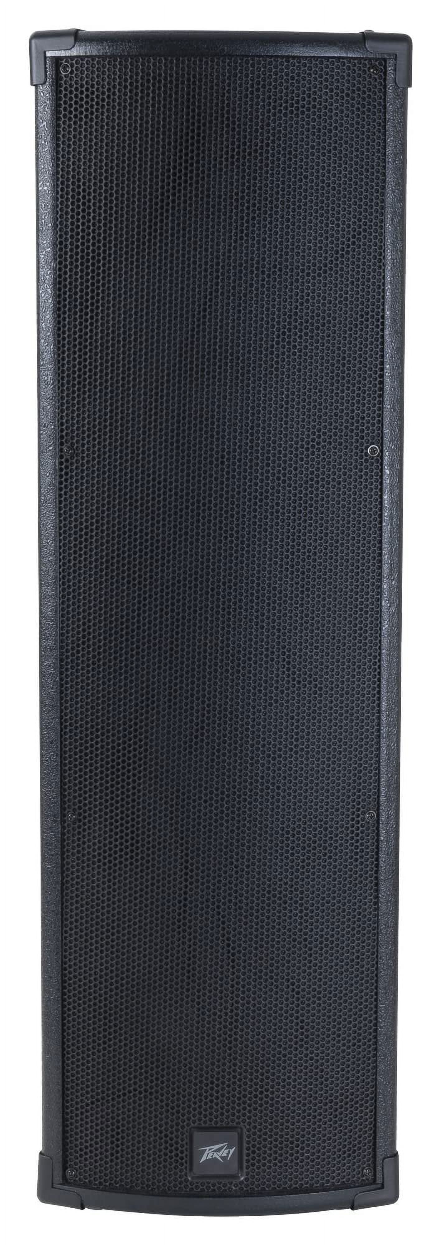 Peavey P2 BT All-in-One Portable PA System