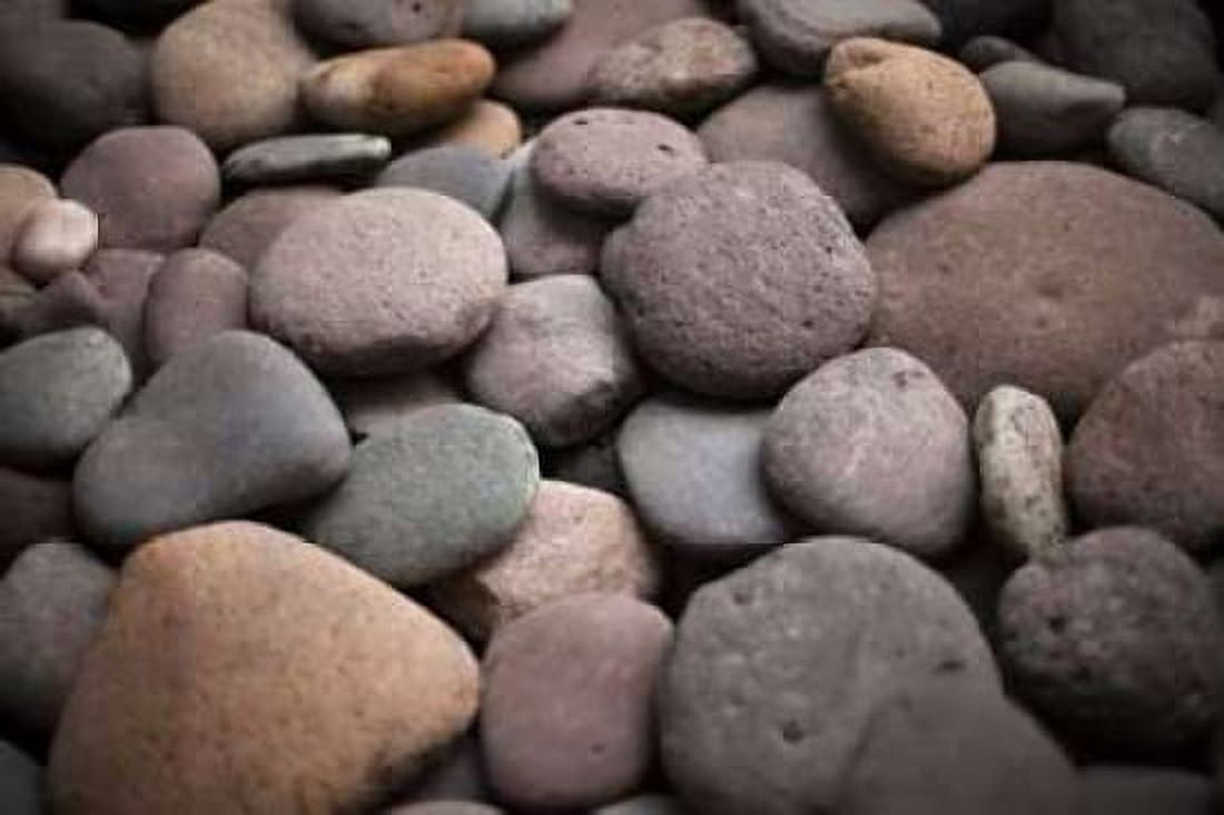 Pebble Patch I Canvas Art - Karyn Millet (12 x 18)