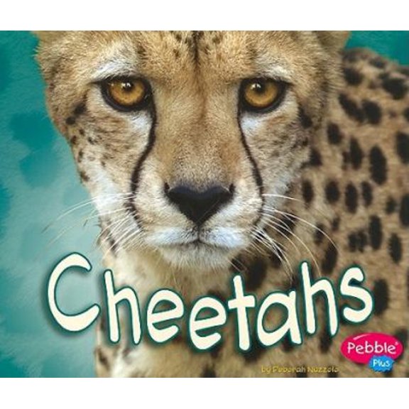 Pre-Owned Cheetahs (African Animals) (Paperback) 1429648783 9781429648783