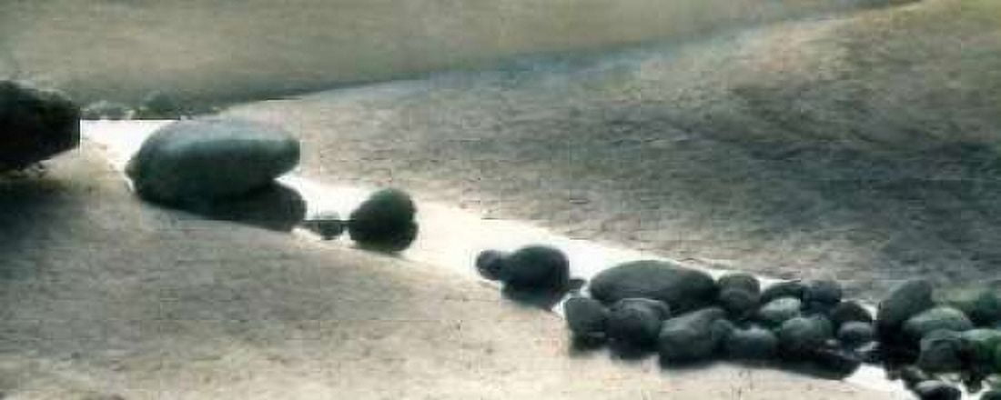 Pebbles I Canvas Art - Amy Melious (24 x 48)