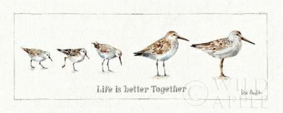 Pebbles and Sandpipers I Canvas Art - Lisa Audit (10 x 20)