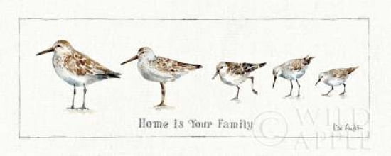 Pebbles and Sandpipers IX Canvas Art - Lisa Audit (10 x 20)