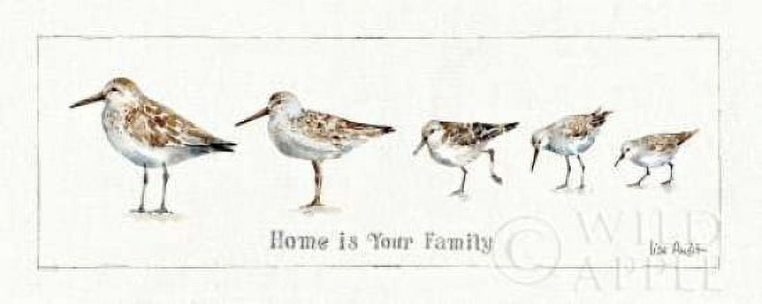 Pebbles and Sandpipers IX Canvas Art - Lisa Audit (24 x 48)