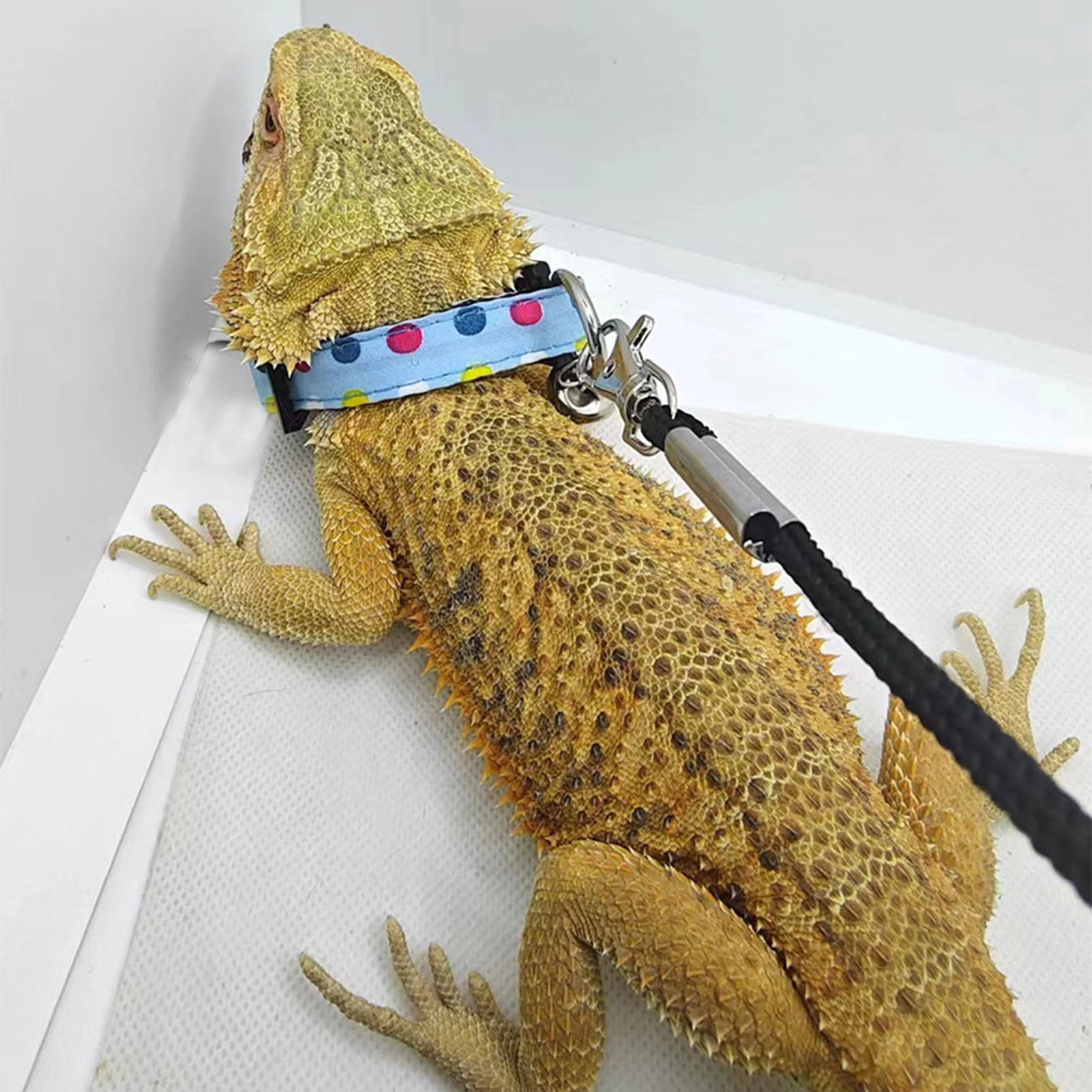 Bearded Dragon Leopard Gecko Leash Safety Harness Leopard Gecko