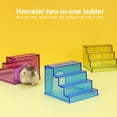 thumbnail image 1 of Pebbuoy 2 in 1 Hamster Climbing Ladder House Safe Odor-free Platform Toy 3 Steps Stairs Non-slip Acrylic Shelter Nest for Small Animals Gerbils Guinea Pig, 1 of 7