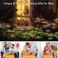 thumbnail image 1 of Pebbuoy 2Pcs Solar Garden Light 2 Lighting Modes IP65 Waterproof Easy Installation Twinkling Solar Lights Yard Pathway Garden Decor, 1 of 6
