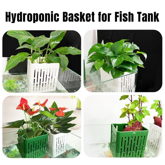 Pebbuoy Aquarium Plant Holder Heat-Resistant Hydroponic Basket Hanging Fish Tank Planter Cups with Hook for Underwater Aquatic Plants
