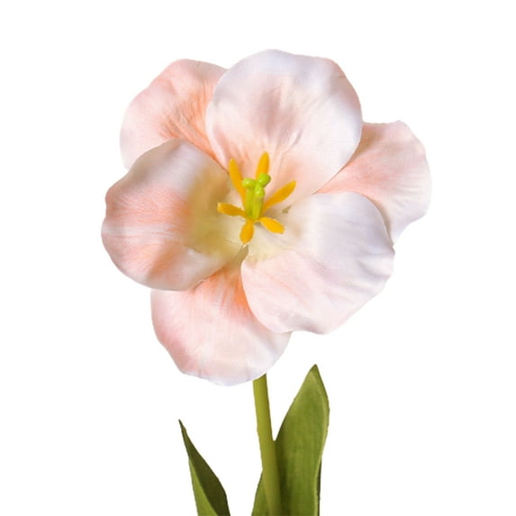 Pebbuoy Artificial Opening Tulip with Stem Realistic Fake Silk Flower Home Office Table Centerpiece Faux Flower Branch Floral Arrangement Decoration