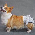 thumbnail image 1 of Pebbuoy Dog Menstrual Pants Female Dog Sanitary Pants Dog Period Panties Breathable Stripe Pattern Prevents Soiling Harassment Female Dog Diaper Briefs for Untrained Puppies, 1 of 7