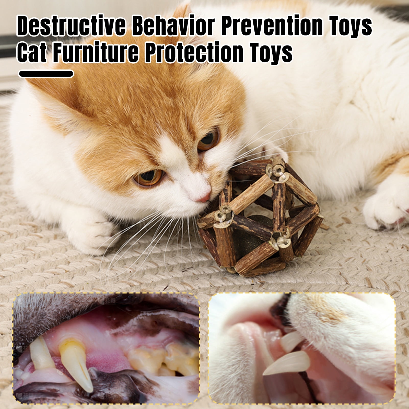 Beautiful view of Cat Little Buddy For Cat Emotional Regulation