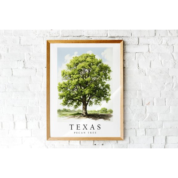 Pecan Tree The State Tree Of Texas Print Wall Décor