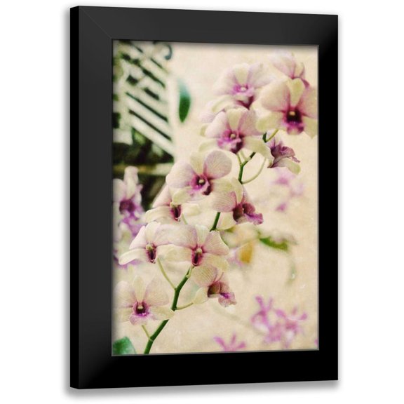 Peck, Gail 11x14 Black Modern Framed Museum Art Print Titled - Filter Flowers I