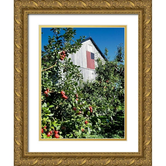 Peck, Gail 12x14 Gold Ornate Wood Framed with Double Matting Museum Art Print Titled - Patriotic Barn