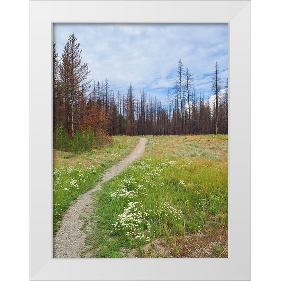 Peck, Gail 12x14 White Modern Wood Framed Museum Art Print Titled - Nature Path