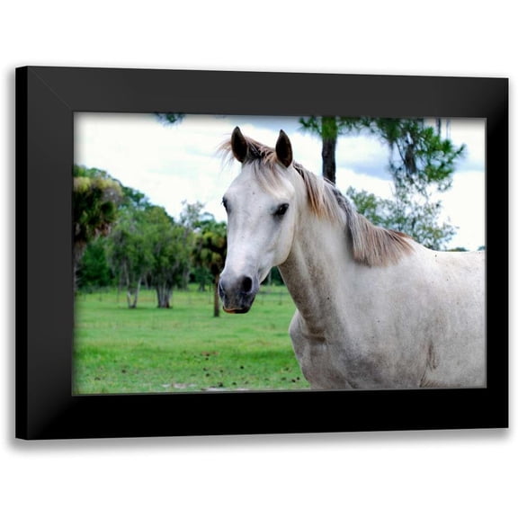 Peck, Gail 14x11 Black Modern Framed Museum Art Print Titled - Dockside