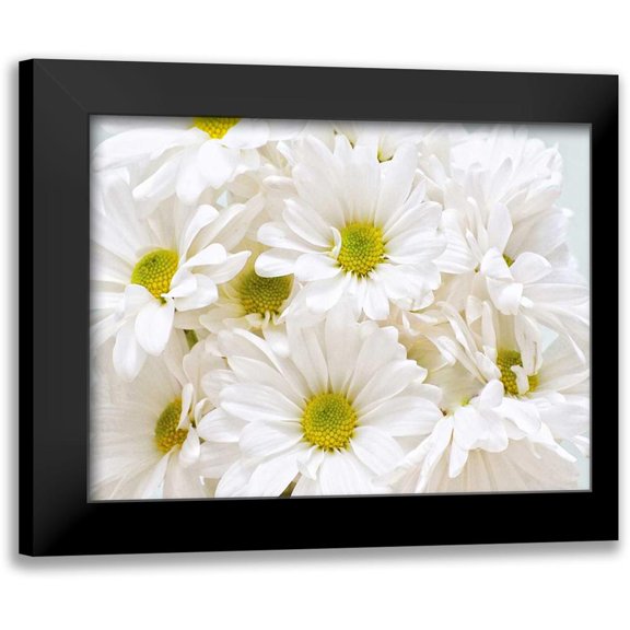 Peck, Gail 14x12 Black Modern Framed Museum Art Print Titled - Bunch of White Daisies