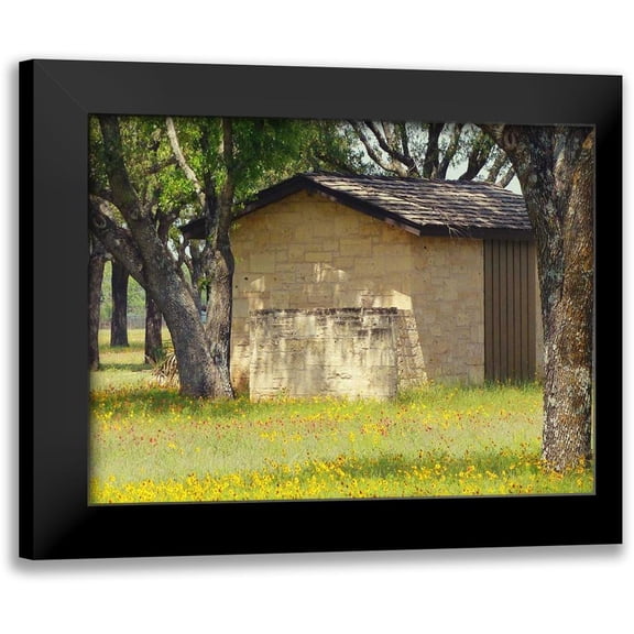 Peck, Gail 14x12 Black Modern Framed Museum Art Print Titled - Country Meadow I