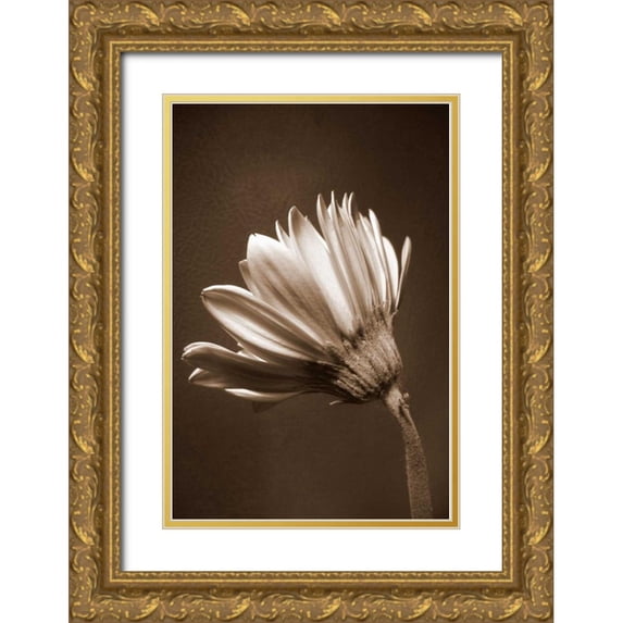 Peck, Gail 17x24 Gold Ornate Wood Framed with Double Matting Museum Art Print Titled - Sepia Flower II
