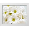 thumbnail image 1 of Peck, Gail 18x15 White Modern Wood Framed Museum Art Print Titled - Bunch of White Daisies, 1 of 4