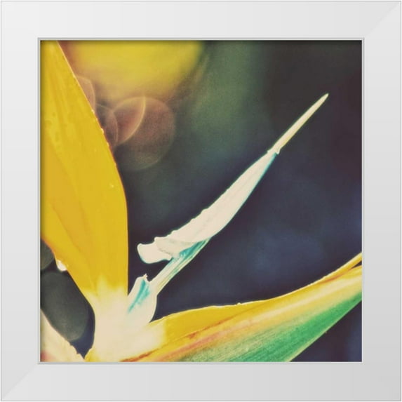 Peck, Gail 26x26 White Modern Wood Framed Museum Art Print Titled - Tropical Floral I
