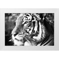 thumbnail image 1 of Peck, Gail 32x23 White Modern Wood Framed Museum Art Print Titled - Deep Tiger, 1 of 4