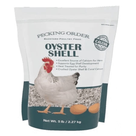 Pecking Order Oyster Shell