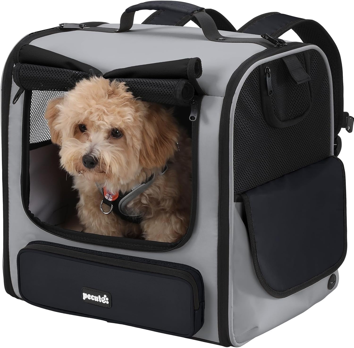 Pecute Cat Carrier Backpack Pet Carrier Backpack Widen Large Space