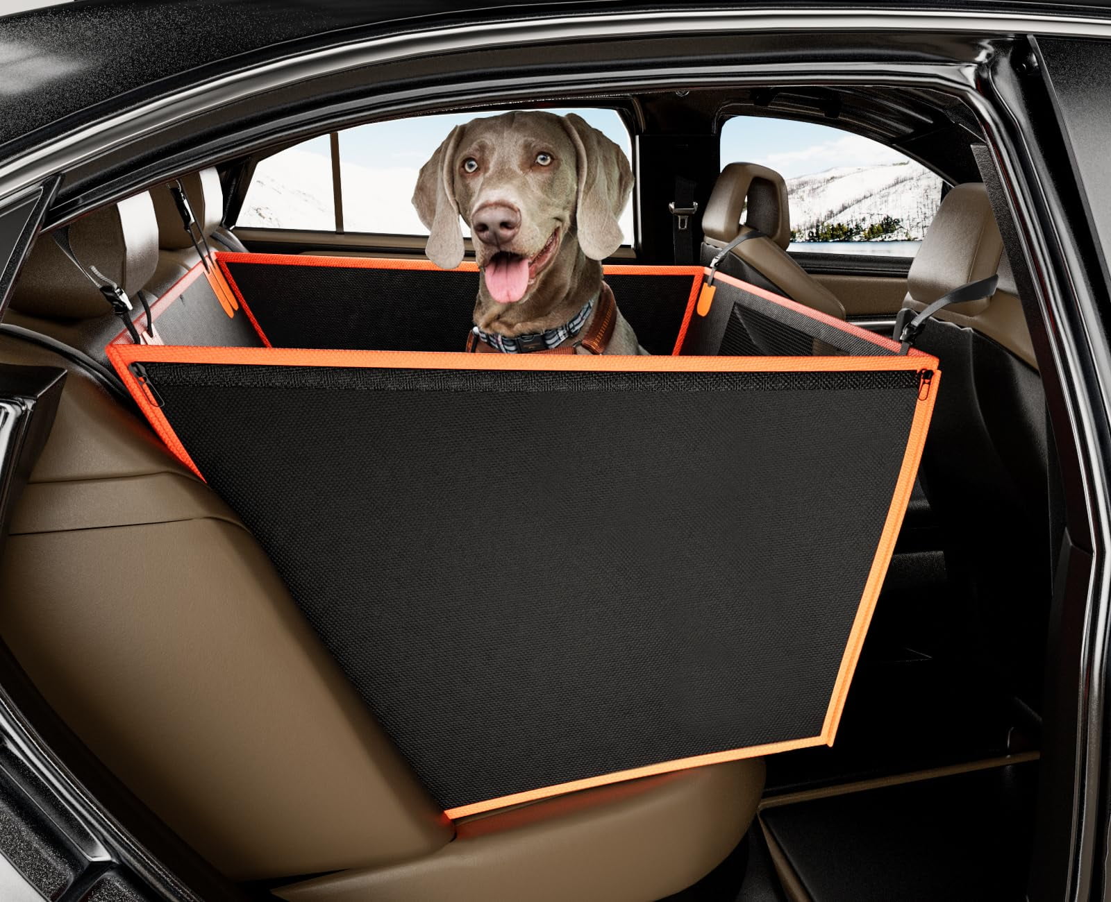 Mini countryman dog seat definitiva cover