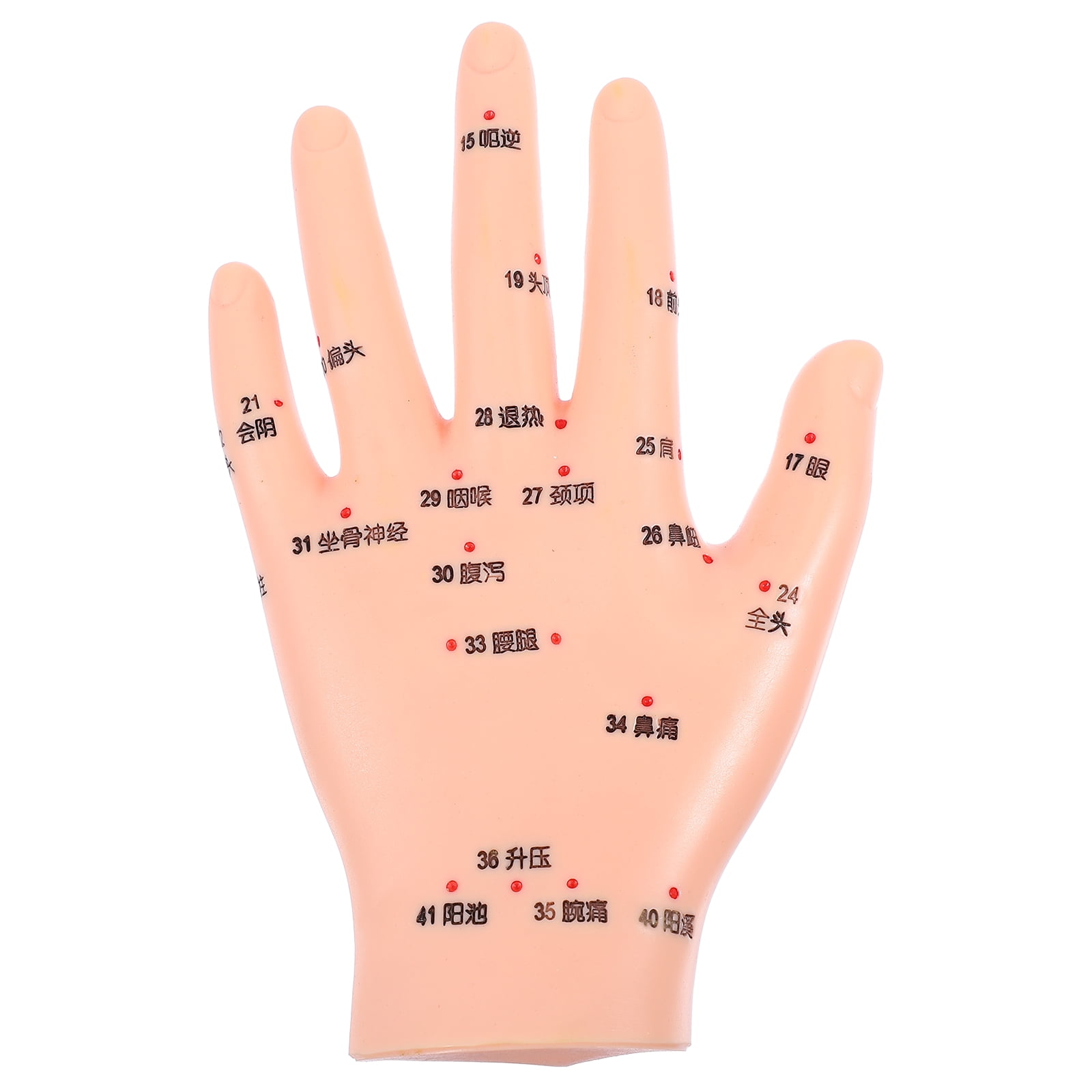 Pediatric Left Hand Acupuncture Model Teaching Hand Acupuncture
