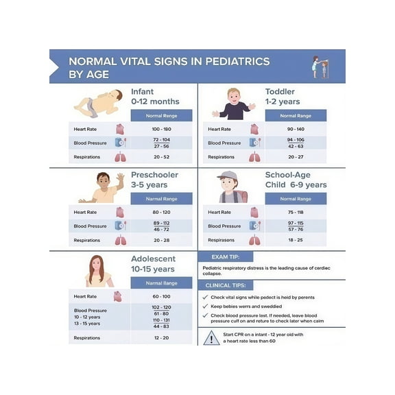 Pediatric Vital Signs Reference Poster Normal Ranges by Age Chart for Nursing Students Skills Lab Healthcare Education Medical Office
