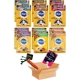Pedigree high Protein Dog Food Bundle, Includes 12 Pouches, High