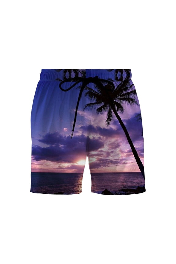 Shorts for Men Trendy Board Shorts Swim Trunks with Compression Liner Quick Dry Shorts Z,L