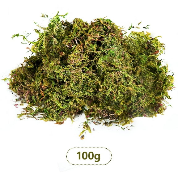 Pedty 100G Moss，Fake Moss Artificial Moss for Potted Plants Greenery Moss Home Decor Fairy Garden Crafts Wedding Decoration Fresh Green 100g