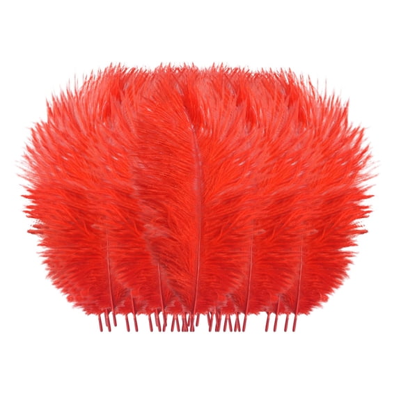Pedty 50 Feathers,50 Pcs Colourful Plumage For Wedding Party Centerpieces Flower Arrangement Home Decoration Diy Middle Floating Plume Hair Clothing Craft Decoration Plumage,Office Cabinet