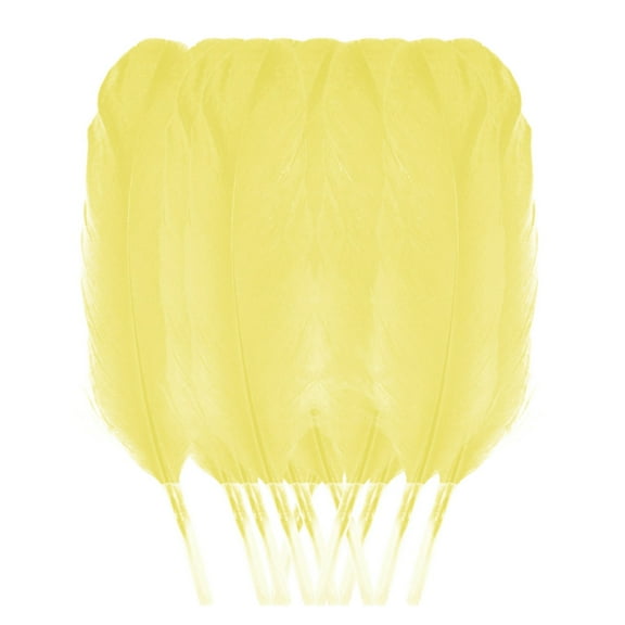 Pedty 50 Goose Feather,12 16Cm Diy Feather,50 Pcs Colourful Plumage for Wedding Party Flower Arrangement Home Decoration Diy Middle Floating Plume for Hair Cat Stick Clothing Craft Decoration Plumage