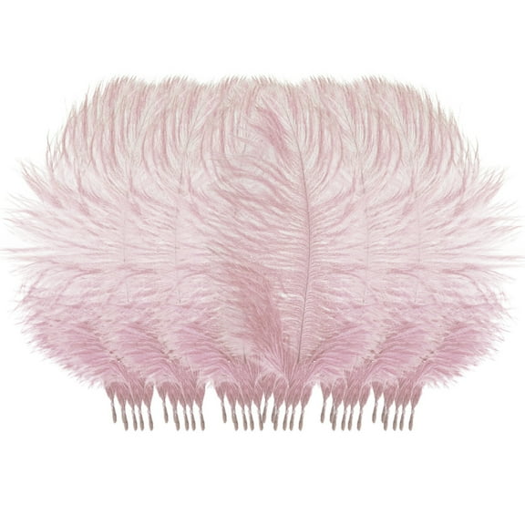 Pedty 50 Feathers,50 Pcs Colourful Plumage For Wedding Party Centerpieces Flower Arrangement Home Decoration Diy Middle Floating Plume Hair Clothing Craft Decoration Plumage,Office Cabinet