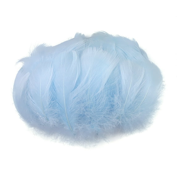 Pedty Desktop Ornament,100pc Colorful Feathers 6-12 Cm In Small Feather DIY Decoration