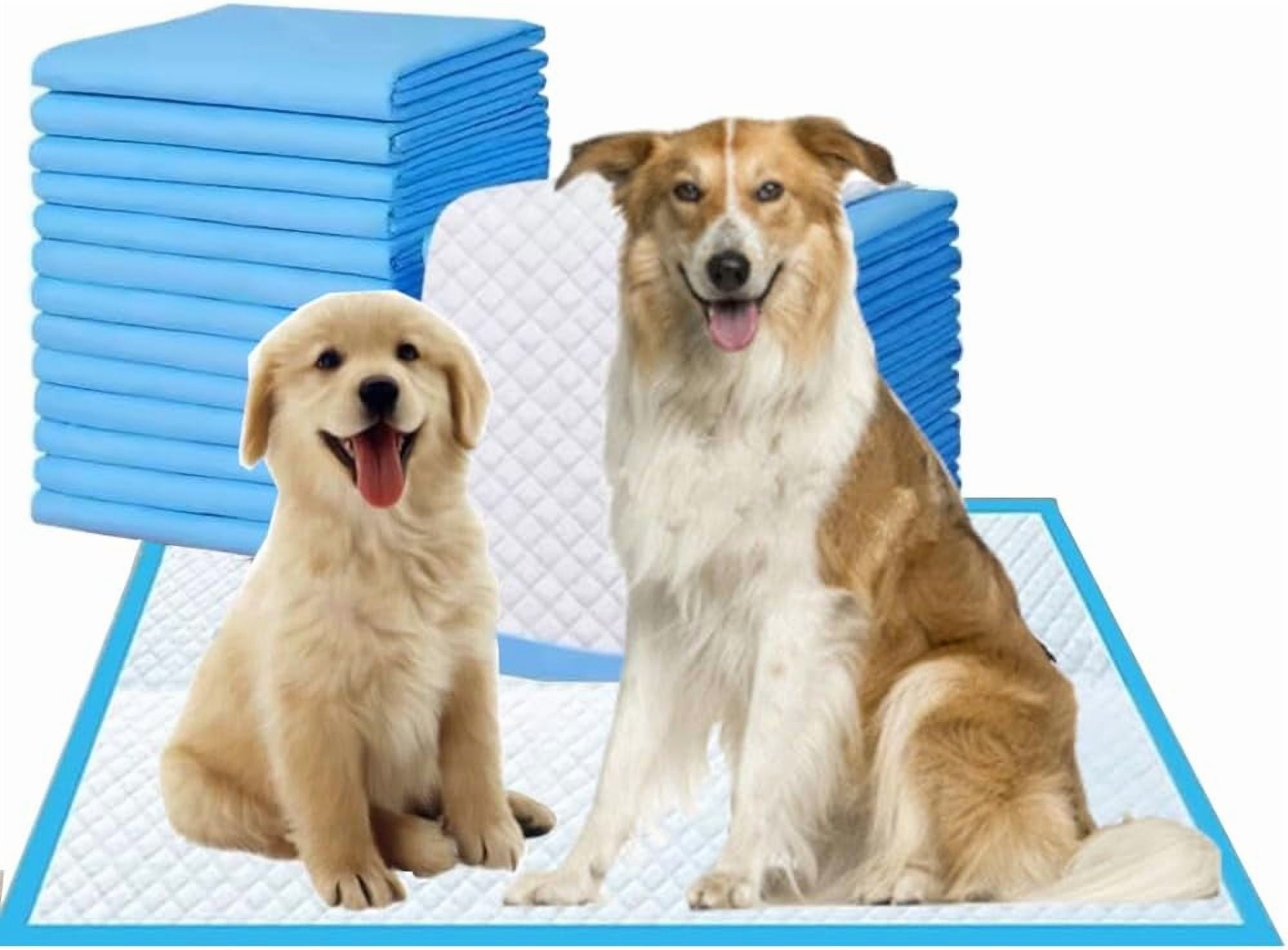 Pee Pads Dog Training 24"x36" 20 Count Extra Large Pad Leak-Proof & Super Absorbent Dog Pee Pads with Quick-Dry Surface for Pet Cats, Rabbits, Dogs, 20 PCS