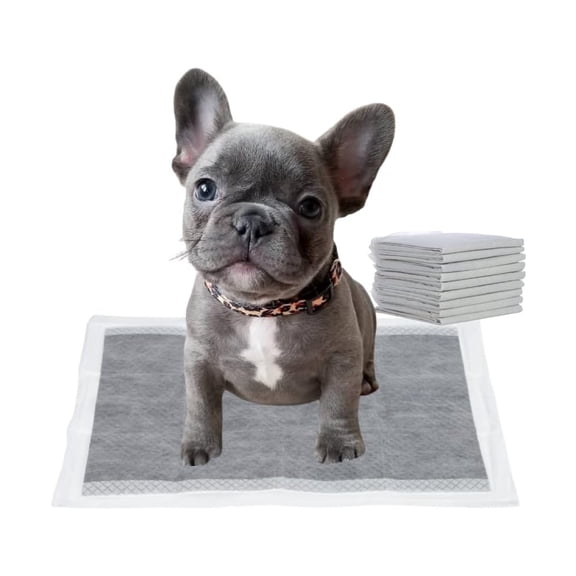 Pee Pads for Dogs, Charcoal Puppy Pads New & Improved Odor-Control Absorbs Up Dog Pee Pads, 6-Layer Leak-Proof Wee Wee Pads for Dogs