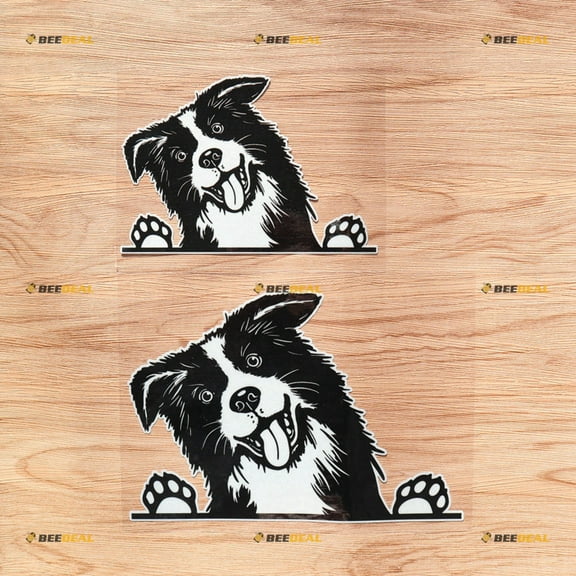 Peeking Border Collie Dog Car Rear Windshield Window Vinyl Decal Sticker - 2 Pack Reflective, 6 Inches, 8 Inches - White Background